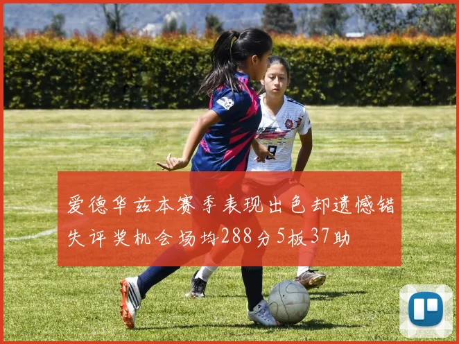 爱德华兹本赛季表现出色却遗憾错失评奖机会场均288分5板37助