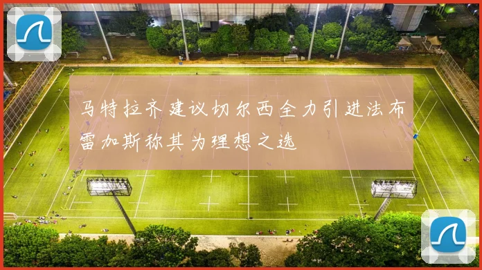 马特拉齐建议切尔西全力引进法布雷加斯称其为理想之选