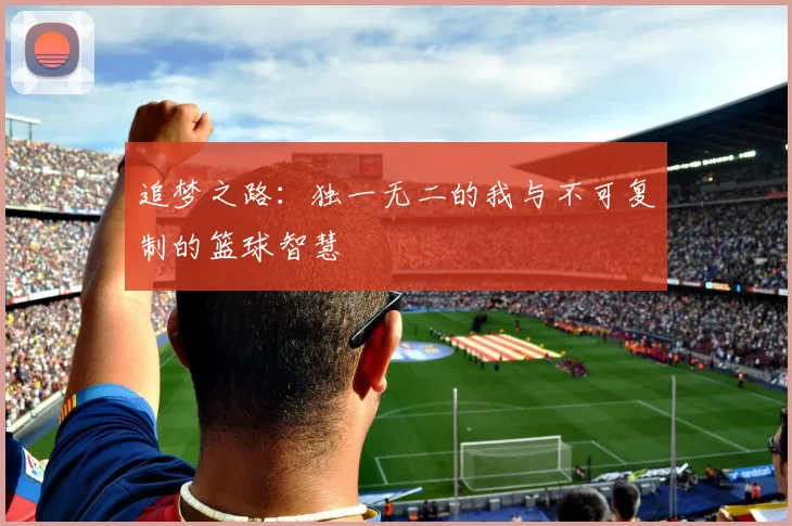 追梦之路：独一无二的我与不可复制的篮球智慧